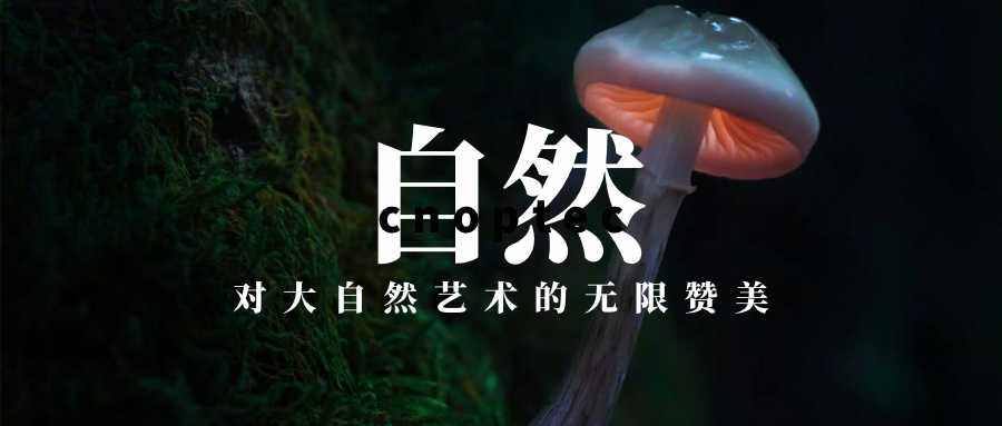 微觀世界：探尋&ldquo;微小世界&rdquo;