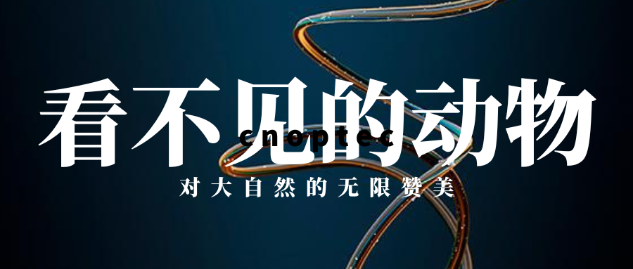 微觀世界：看不見的動物